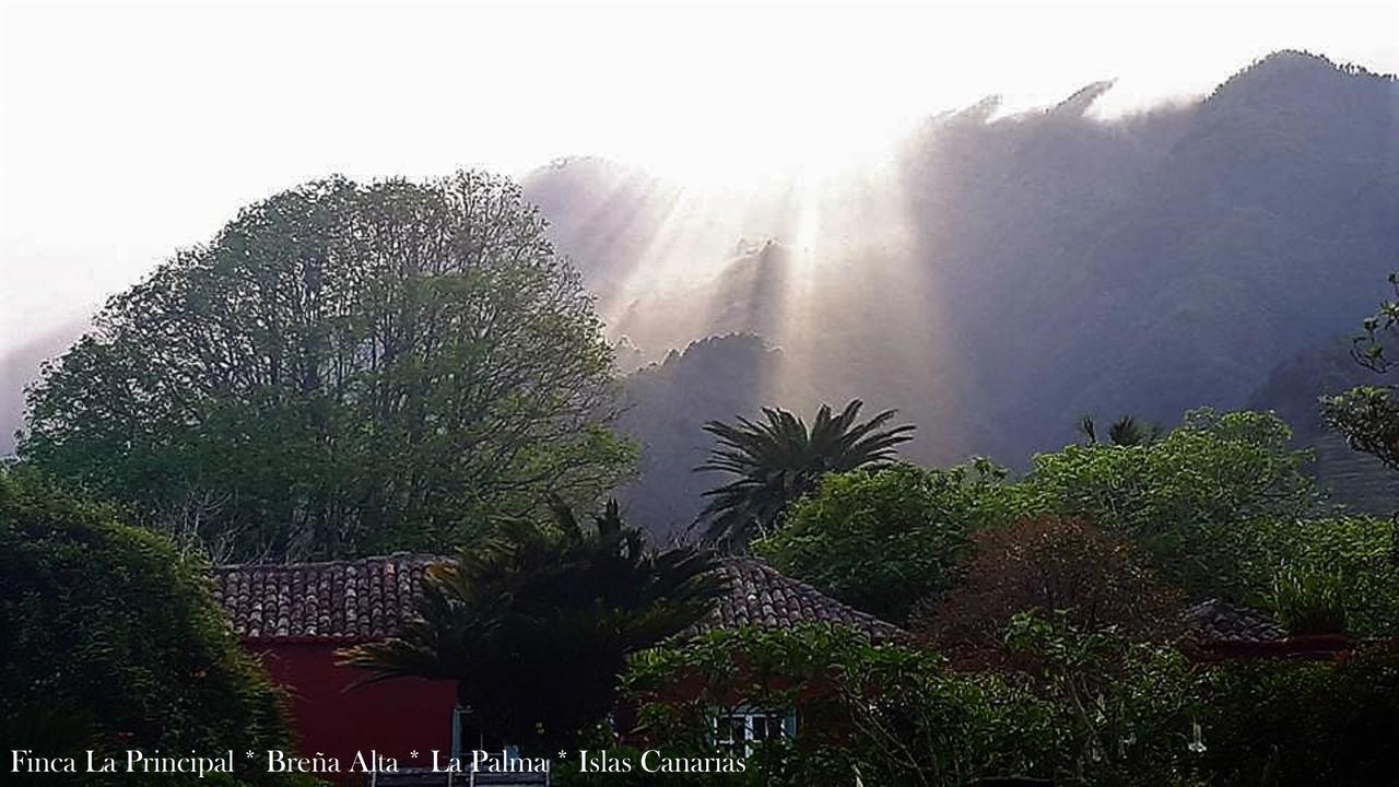 Finca La Principal Breña Alta Eksteriør billede