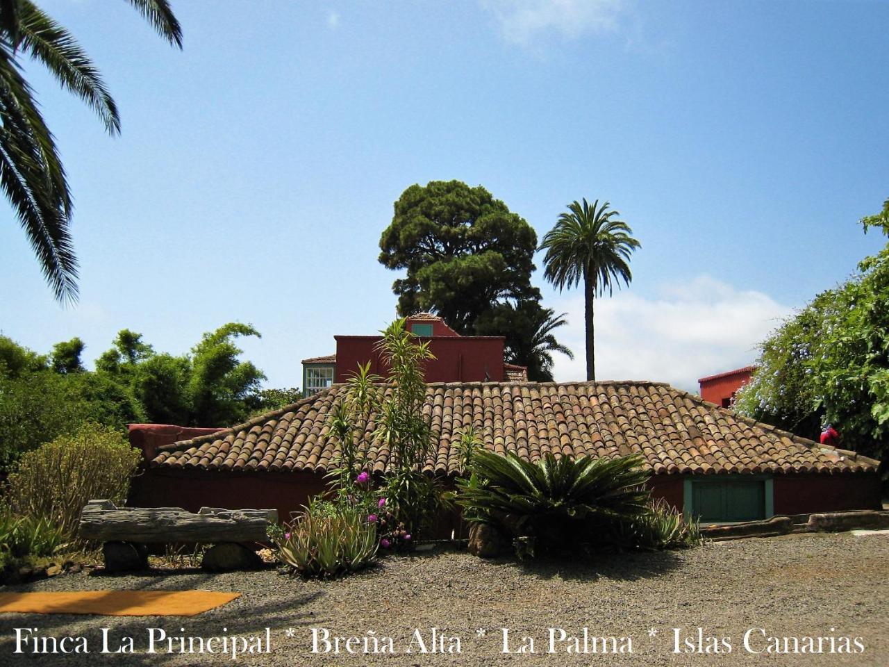 Finca La Principal Breña Alta Eksteriør billede