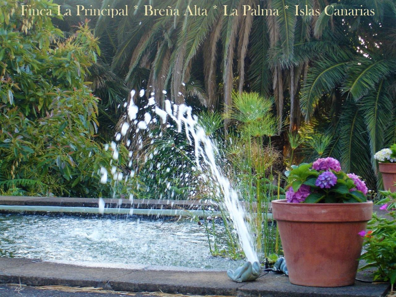 Finca La Principal Breña Alta Eksteriør billede